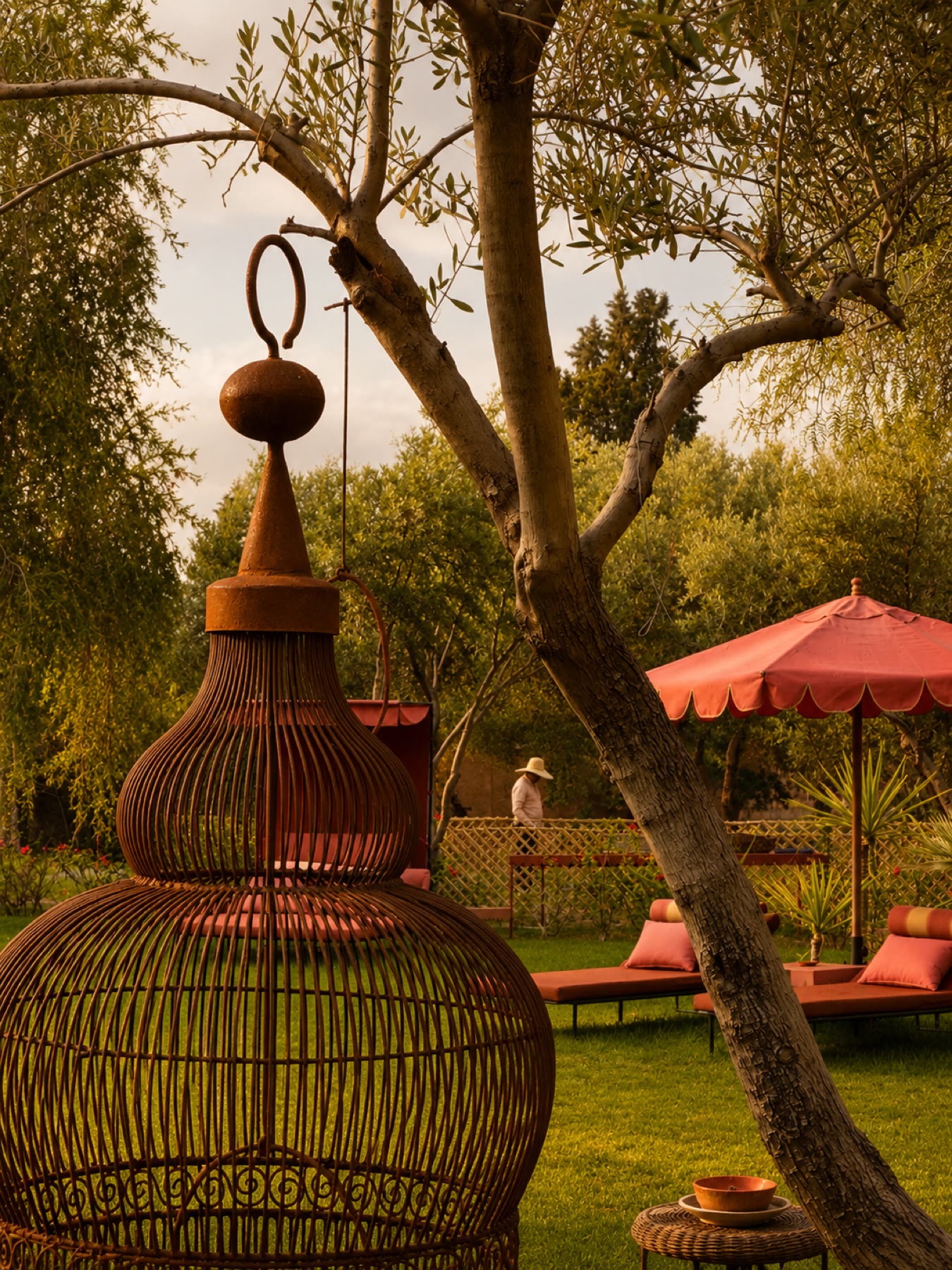 Jardin d'oliviers